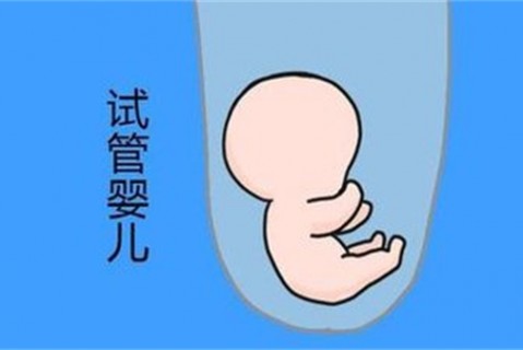 http://wuxi.vdtfzz.com/post/194.html|无锡新闻中心